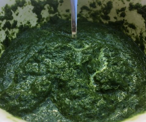 Homemade Spinach Pesto