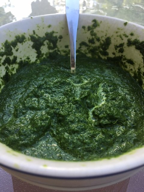 Homemade Spinach Pesto