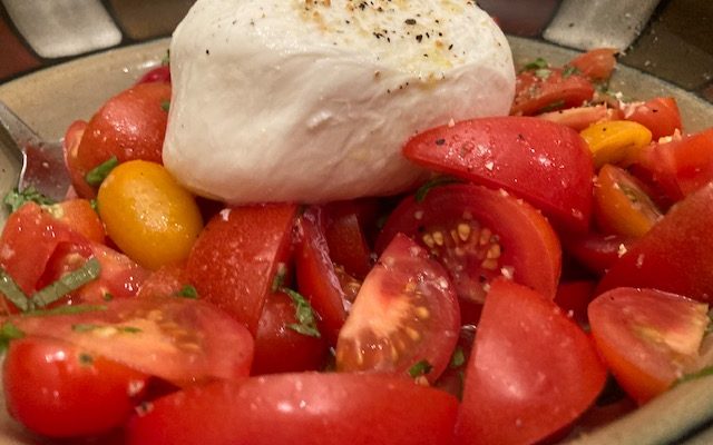 Tomato Burrata Appetizer